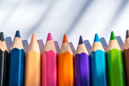 Assortment of colored pencilsの写真素材