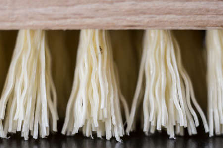 Macro shot of a floor scrubbing brushの写真素材