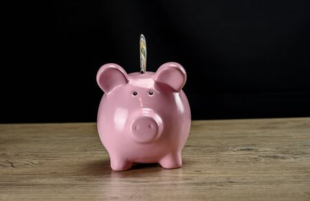 Dollar in the piggy bank close upの写真素材