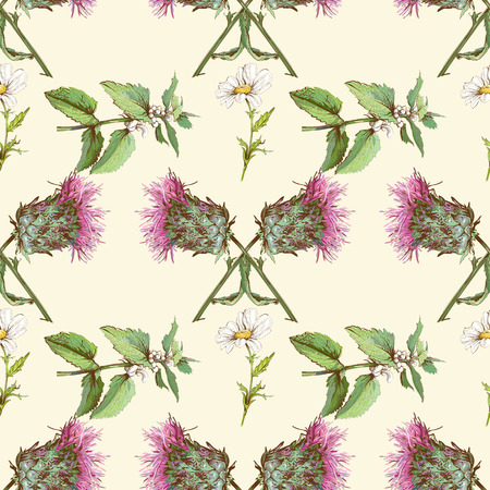 Vector vintage seamless pattern with wild flowers and herbs. Background design for cosmetics, store, beauty salon, natural and organic products.のイラスト素材