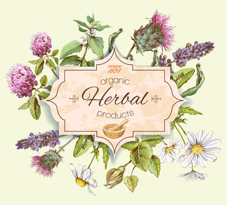 Vector vintage banner with wild flowers and medicinal herbs. Design for cosmetics, store, beauty salon, natural and organic, health care products.