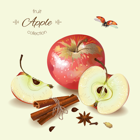 Vector realistic illustration of red apple with cinnamon. Isolated on light green background. Design for tea, ice cream, cosmetics, candy and bakery with black apple filling, health care products.のイラスト素材