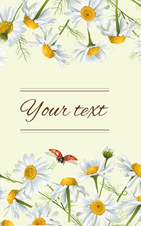 Vector chamomile flowers vertical banner. Design for tea, natural cosmetics, beauty store, organic health care products, perfume, essential oil, homeopathy, aromatherapy. With place for textのイラスト素材
