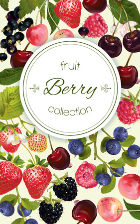Vector Mix Berry Vertical Banner Design For Tea Natural