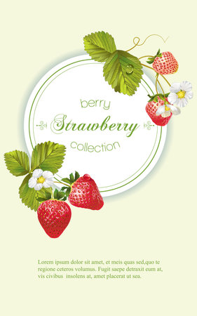 Vector strawberry vertical banner. Design for tea, natural cosmetics, beauty store, dessert menu, organic health care products, perfume, aromatherapy. With place for textのイラスト素材