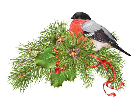 Christmas with traditional decoration, christmas tree branches and cute bullfinch. Design element for winter sale, party invitation or greeting card.のイラスト素材