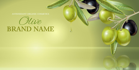 horizontal with olive branch on green smooth background with reflection. Design for olive oil, natural cosmetics, health care products. With place for text and your product imageのイラスト素材