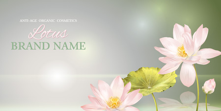 Lotus flower bannerのイラスト素材