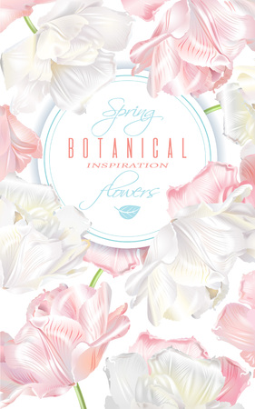 Vertical banner with white and pink tulip flowers.のイラスト素材