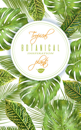 Tropical vertical bannerのイラスト素材