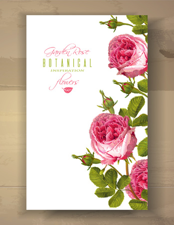 Rose vertical bannerのイラスト素材
