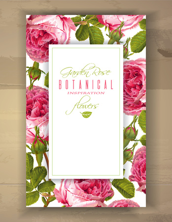 Rose vertical bannerのイラスト素材