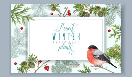 Winter horizontal bullfinch bannerのイラスト素材