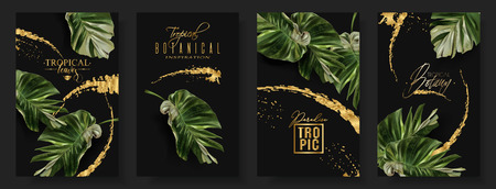 Vector tropical alocasia leaf banner set on black background. Exotic botany for cosmetics, spa, perfume, health care products, aroma, tourist agency. Best as wedding invitation. With place for textのイラスト素材