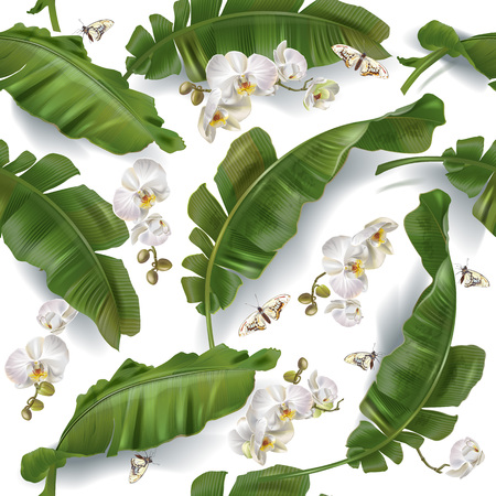 Vector tropical seamless pattern with green banana leaves and orchid flowers on white background. Exotic botanical design for cosmetics, spa, textile, wrapping, wallpaper. Best as wedding backgroundのイラスト素材