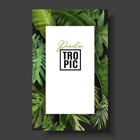 Vector banner with green tropical leaves on black background. Exotic botanical design for cosmetics, spa, perfume, beauty salon, travel agency, florist shop. Best as packaging designのイラスト素材
