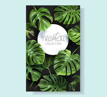 Vector monstera frame with green tropical leavesのイラスト素材