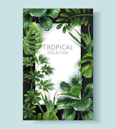 Vector frame with green tropical leavesのイラスト素材