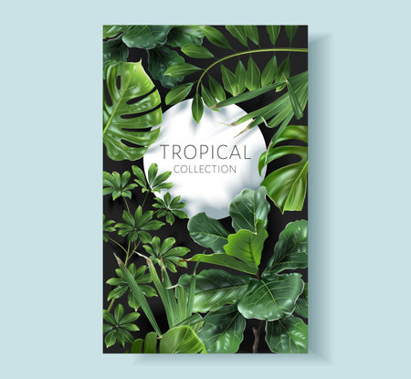 Vector round banner with green tropical leavesのイラスト素材