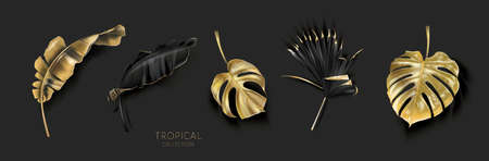 Vector set with gold black tropical leavesのイラスト素材