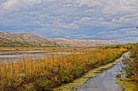 sweet water stream next to a saline. leading lines to the horizon. picture taken in pag, croatia. HDR-picture.の写真素材