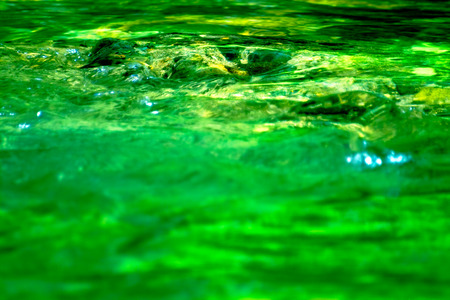 Emerald color flowの写真素材