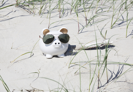 A white piggy bank in the dunes on the beach wearing sunglassesの写真素材