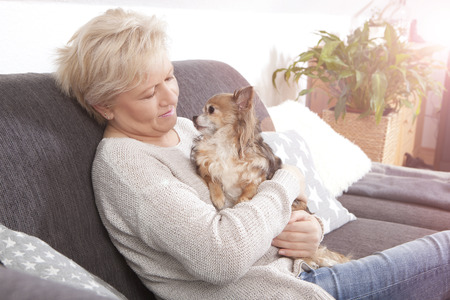 A woman cuddling at home with her little chihuahuaの写真素材