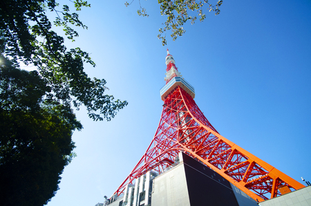 Tokyo Tower in beautiful Minato-ku, Japanのeditorial素材