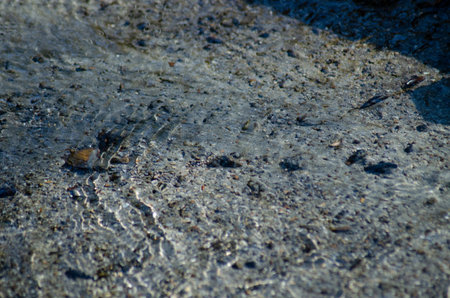 Water surface