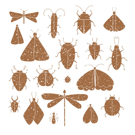 Set of vector isolated grunge insects illustrations. Silhouette of butterfly, ant, moth, bug, cockroach, ladybug, dragonfly.のイラスト素材