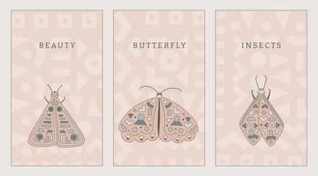 Pastel colors posters collection with festive, folk, geometrical ornament butterflies, moths. Vector Banner Templates.のイラスト素材