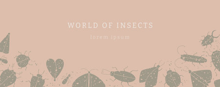 Vector web banner template with grunge insects shapes. Warm, natural, beige template.のイラスト素材