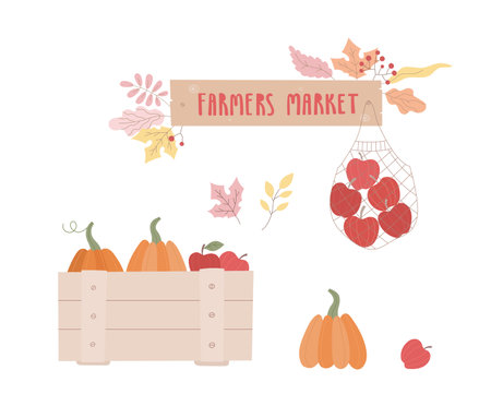 Fall Harvest in wood box, eco bag. Cozy Farmers market banner, apples, pumpkins. Vector clip art, set.のイラスト素材