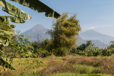Semeru volcanoの写真素材