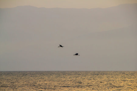 Lake Tanganyika in Burundi Africa