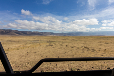 Ngorongoro crater safariの写真素材