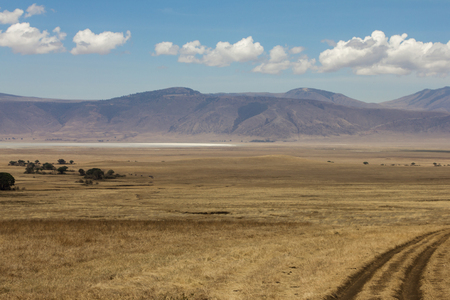 Ngorongoro Crater Landscapeの写真素材