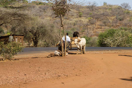 Tanzania Country Lifeの写真素材