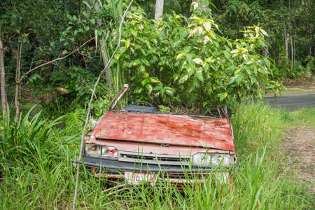 plans car in Eungella - australiaの写真素材