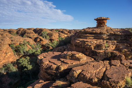 Landscape of the Kings Canyon, Outback of Australia
