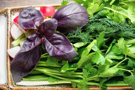 Fresh vegetables. catering menuの写真素材