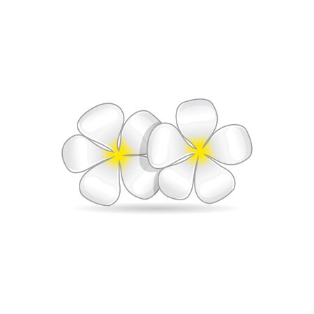 Jasmine flowers icon in color. Spa aromatherapyのイラスト素材