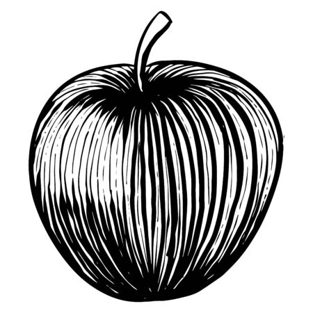 Apple icon in sketch style.のイラスト素材