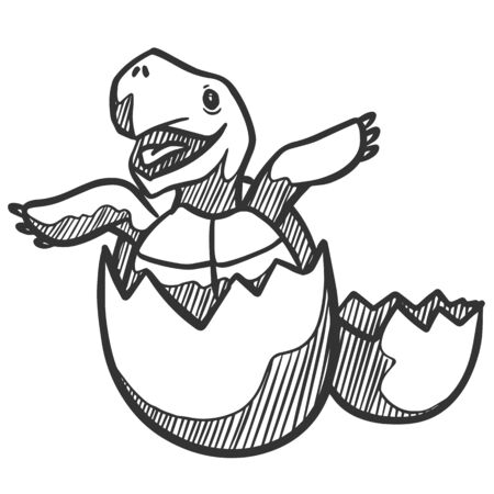 Tortoise hatching icon in sketch style. Animal vector doodle.のイラスト素材