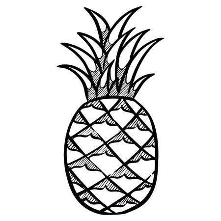 Hand drawn pineapple. Vector illustrationのイラスト素材
