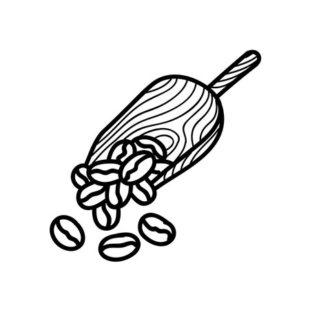 Coffee bean and wooden scoop. Hand drawn vector illustration. Editable line strokeのイラスト素材