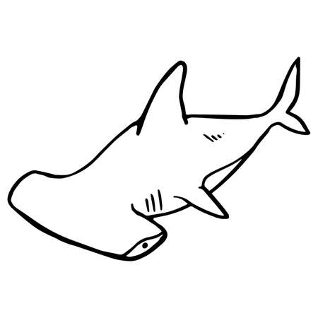 Hammer head shark icon. Hand drawn vector illustration. Sea animal predator.のイラスト素材
