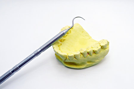 Dental Explorer and Oral Plaster Modelの写真素材