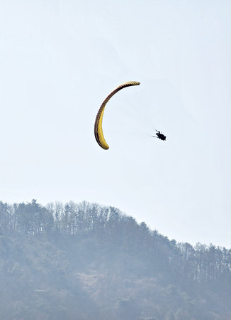 Paraglider flying in the sky over the forestの写真素材